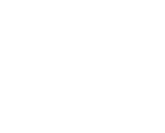 Tree Service Panama City