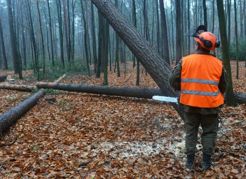 Fire Mitigation Panama City FL